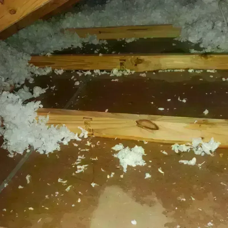 Attic Water Damage in Aroostook County, ME